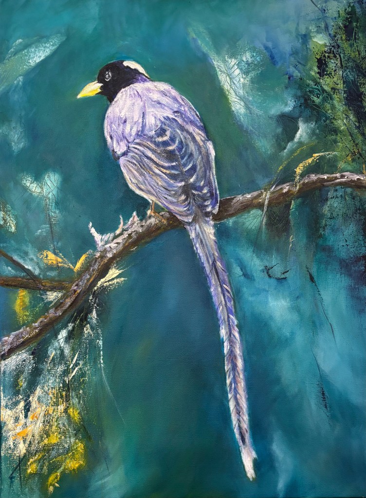 Yellow-billed Blue Magpie Art by Minnoo