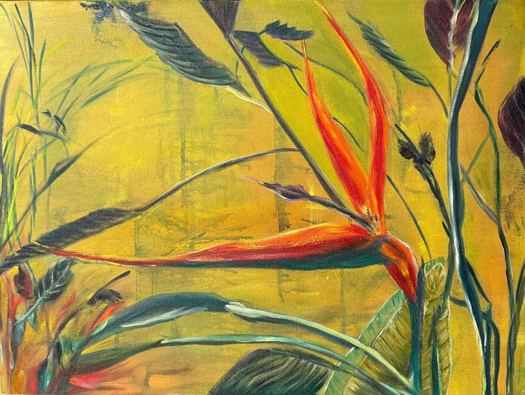 Swoops! Art by Minnoo